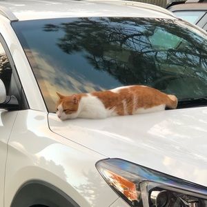 Meet your Posher, Kinue